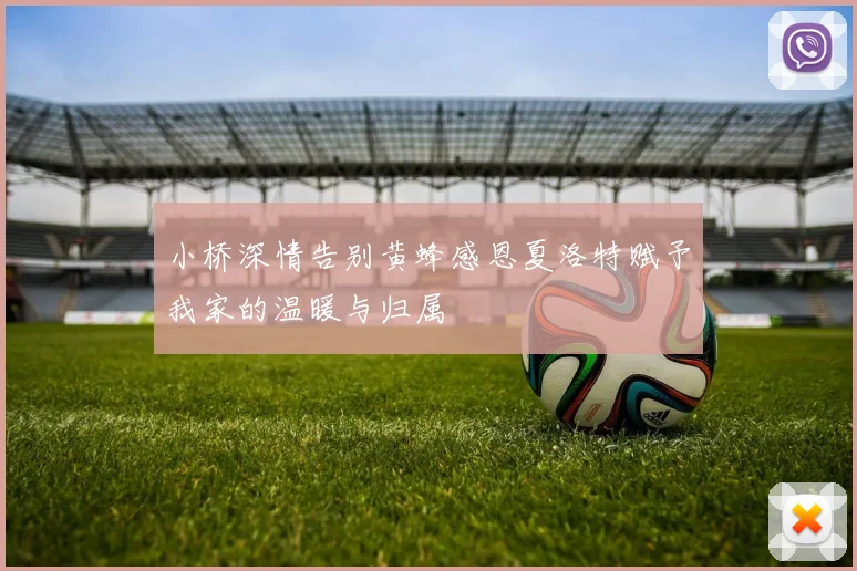 小桥深情告别黄蜂感恩夏洛特赋予我家的温暖与归属